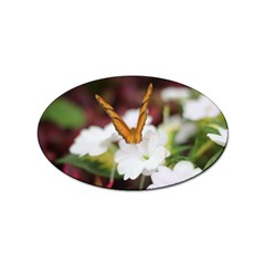 Butterfly 159 Sticker 100 Pack (oval) by pictureperfectphotography