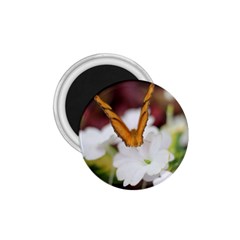 Butterfly 159 1 75  Button Magnet by pictureperfectphotography