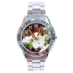 Butterfly 159 Stainless Steel Watch (men s)