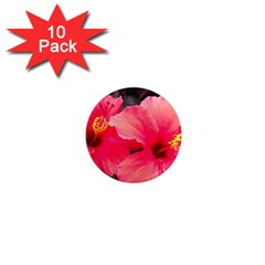 Red Hibiscus 1  Mini Button Magnet (10 Pack) by ADIStyle