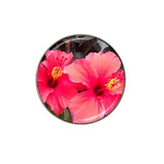 Red Hibiscus Golf Ball Marker 4 Pack (for Hat Clip) by ADIStyle