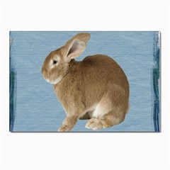 Cute Bunny Postcard 4 x 6  (10 Pack) by mysticalimages