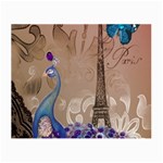 Modern Butterfly  Floral Paris Eiffel Tower Decor Glasses Cloth (Small) Front