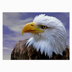 Bald Eagle Glasses Cloth (large, Two Sided)