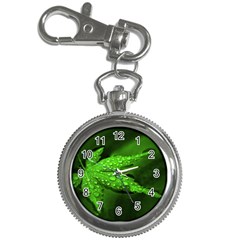 Leaf With Drops Key Chain & Watch