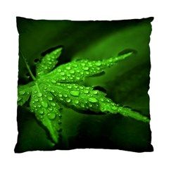 Leaf With Drops Cushion Case (single Sided)  by Siebenhuehner