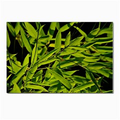 Bamboo Postcard 4 x 6  (10 Pack) by Siebenhuehner