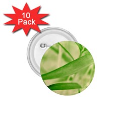 Bamboo 1 75  Button (10 Pack)