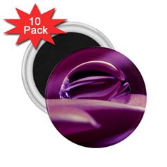 Waterdrop 2 25  Button Magnet (10 Pack)