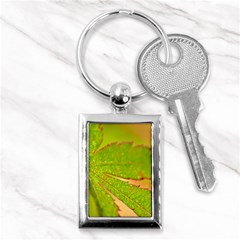 Leaf Key Chain (rectangle)