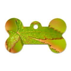 Leaf Dog Tag Bone (one Sided) by Siebenhuehner