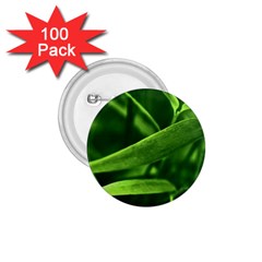 Bamboo 1 75  Button (100 Pack)