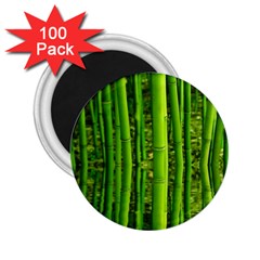 Bamboo 2 25  Button Magnet (100 Pack)