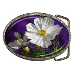 Cosmea   Belt Buckle (oval)