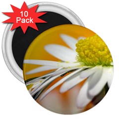 Daisy With Drops 3  Button Magnet (10 Pack) by Siebenhuehner