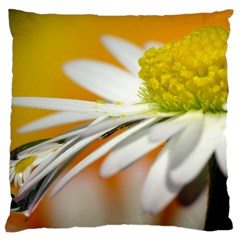 Daisy With Drops Large Cushion Case (single Sided) 