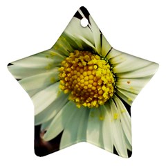 Daisy Star Ornament (two Sides) by Siebenhuehner