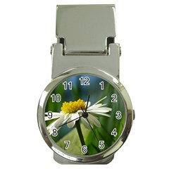 Daisy Money Clip With Watch