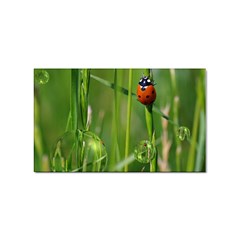 Ladybird Sticker (rectangle) by Siebenhuehner