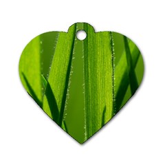 Grass Dog Tag Heart (one Sided)  by Siebenhuehner