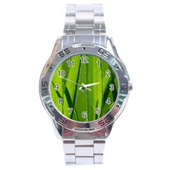 Grass Stainless Steel Watch (men s) by Siebenhuehner