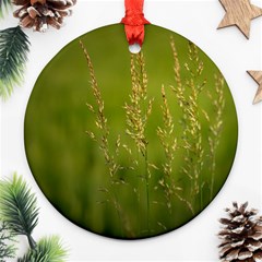 Grass Round Ornament by Siebenhuehner