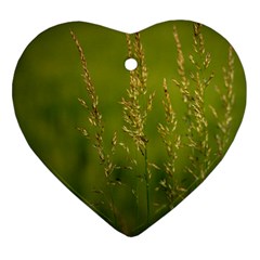 Grass Heart Ornament (two Sides) by Siebenhuehner