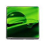 Green Drop Memory Card Reader with Storage (Square) Front