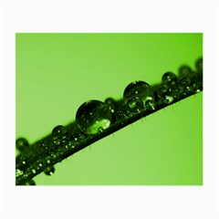 Green Drops Glasses Cloth (small, Two Sided)