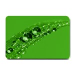 Green Drops Small Door Mat 24 x16  Door Mat