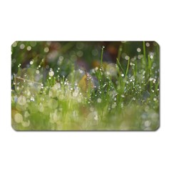 Drops Magnet (rectangular)