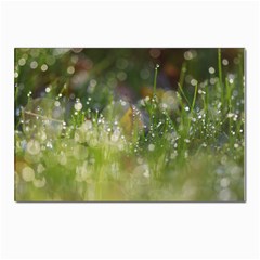 Drops Postcard 4 x 6  (10 Pack) by Siebenhuehner