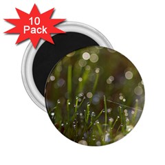 Waterdrops 2 25  Button Magnet (10 Pack)