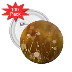 Waterdrops 2 25  Button (100 Pack)