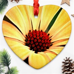 Osterspermum Heart Ornament by Siebenhuehner