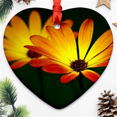 Osterspermum Heart Ornament by Siebenhuehner