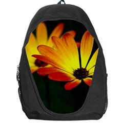 Osterspermum Backpack Bag by Siebenhuehner