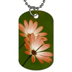 Osterspermum Dog Tag (one Sided) by Siebenhuehner