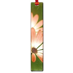 Osterspermum Large Bookmark