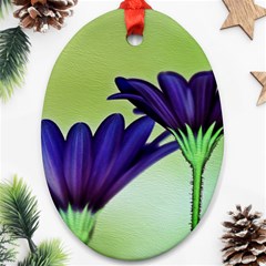 Osterspermum Oval Ornament by Siebenhuehner