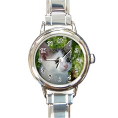 Young Cat Round Italian Charm Watch