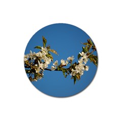 Cherry Blossom Magnet 3  (round)