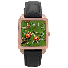 Ladybird Rose Gold Leather Watch 