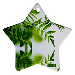 Leafs With Waterreflection Star Ornament (two Sides)