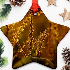 Field Star Ornament by Siebenhuehner