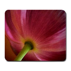 Poppy Large Mouse Pad (rectangle)