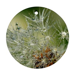 Dandelion Round Ornament