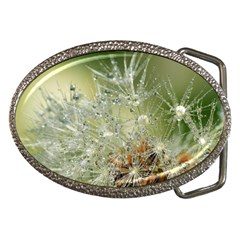 Dandelion Belt Buckle (oval)