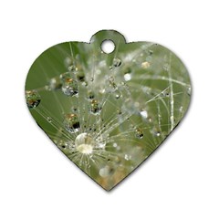 Dandelion Dog Tag Heart (two Sided) by Siebenhuehner