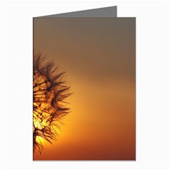 Dandelion Greeting Card (8 Pack) by Siebenhuehner